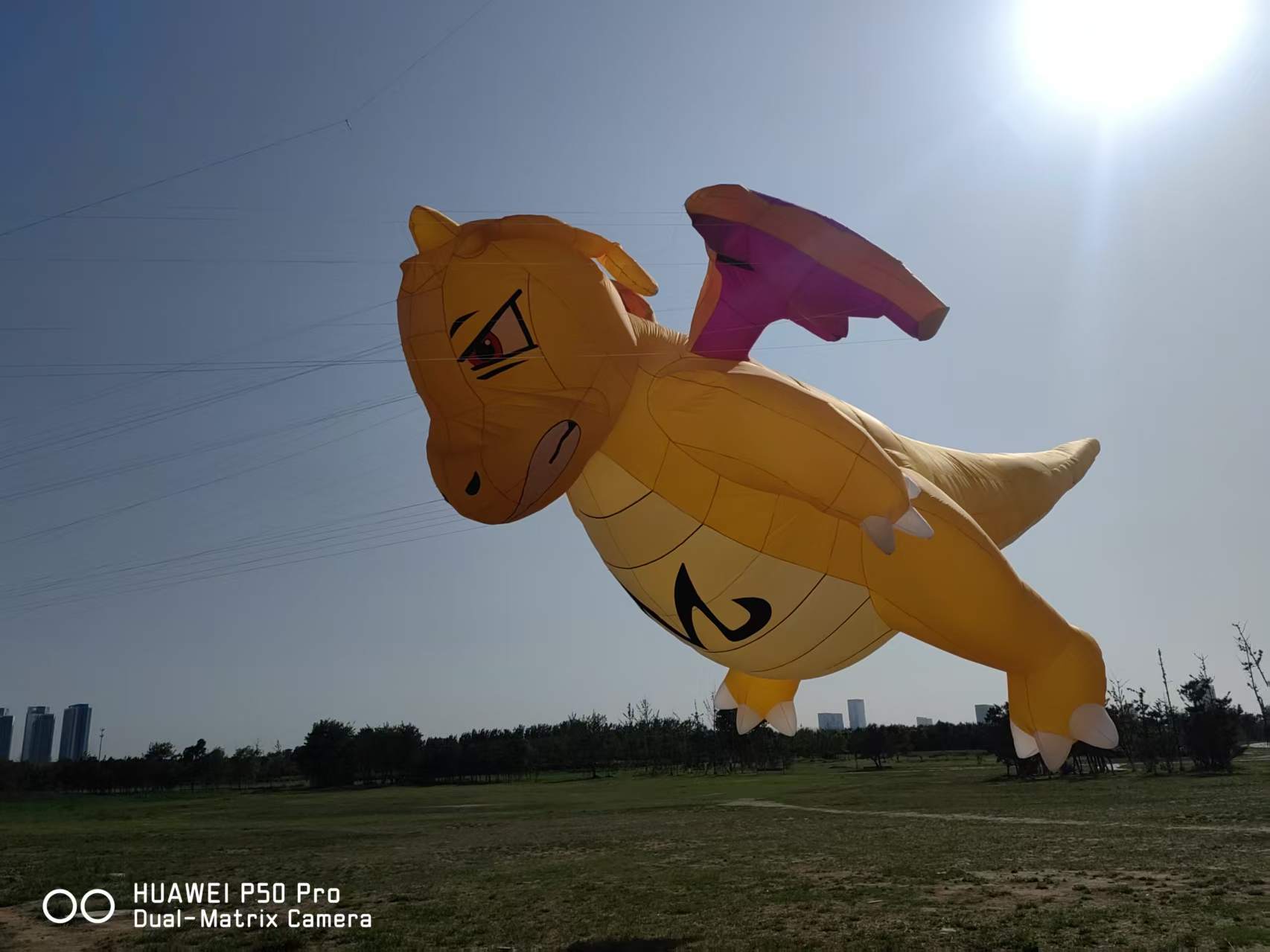 益阳市品牌风筝定制宣传风筝定制 - 哪里好