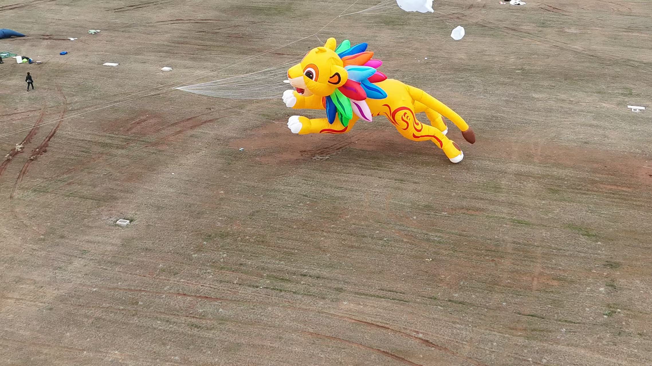益阳市品牌风筝定制品牌风筝定制 - 方案