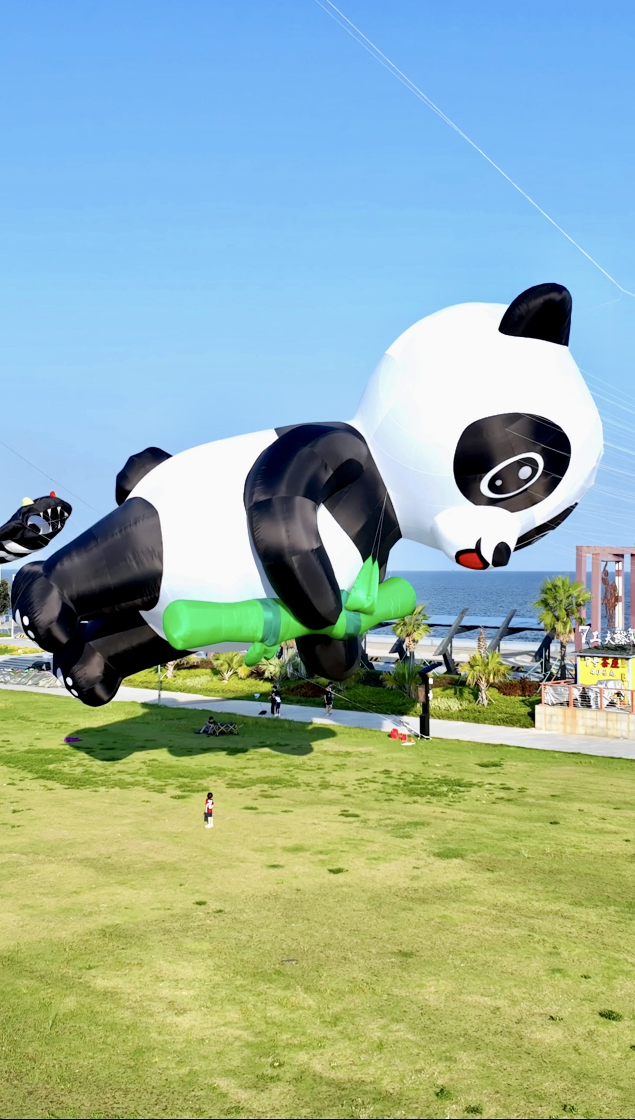 益阳市宣传风筝定制风筝放飞活动策划 - 一站式服务