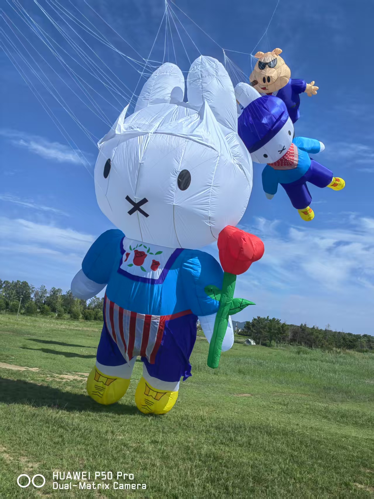 益阳市儿童风筝定制风筝商业放飞 - 排名