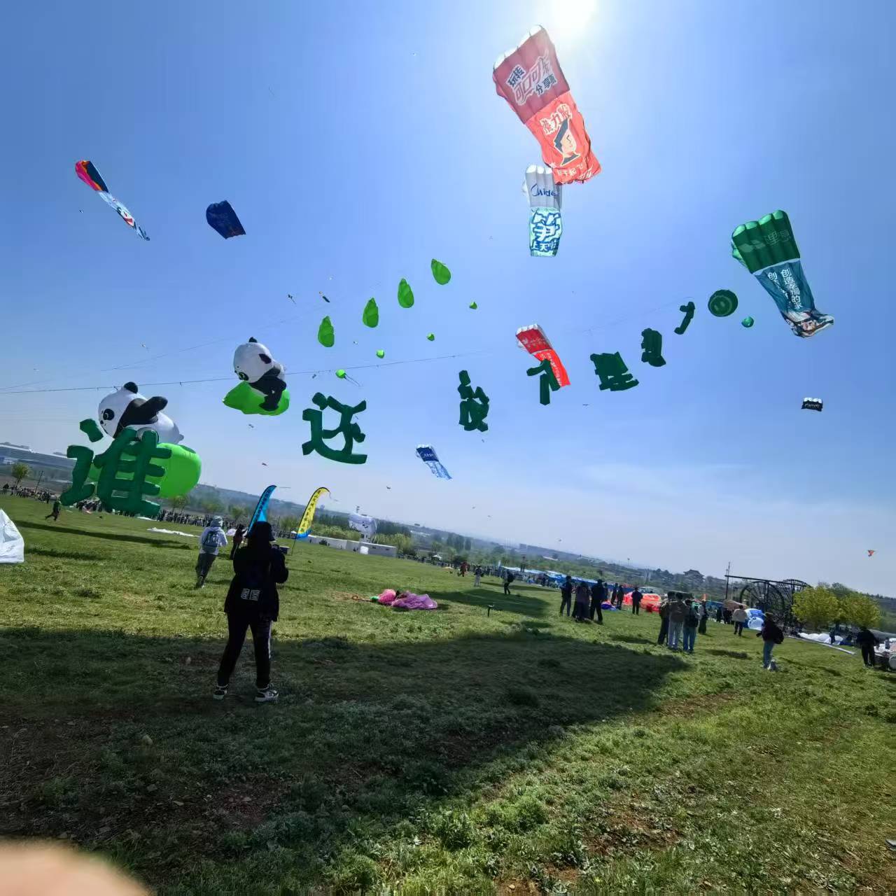 益阳市品牌风筝定制风筝定制 - 哪里好